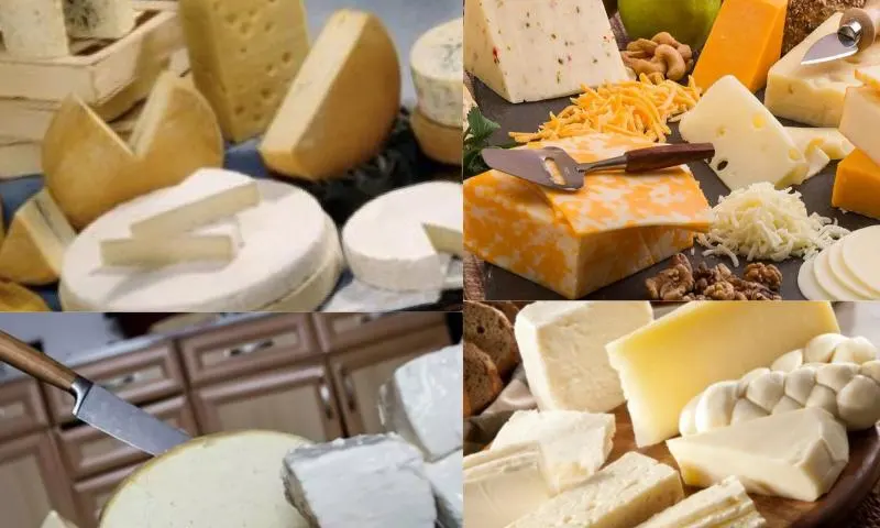 Peynirin Lezzeti ve Kalitesini Belirleyen Unsurlar